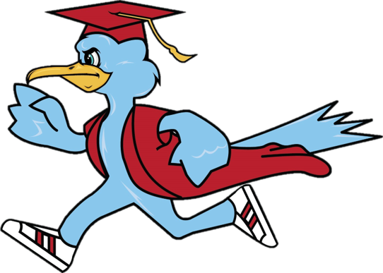 Roadrunner 
